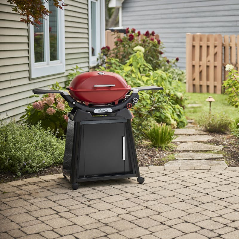 Q 2800N+ Gas Grill with Stand (Liquid Propane) | Flame Red