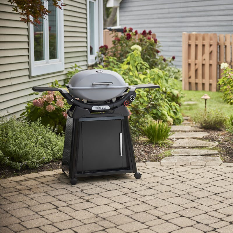 Q 2800N+ Gas Grill with Stand (Liquid Propane) |  Smoke Grey