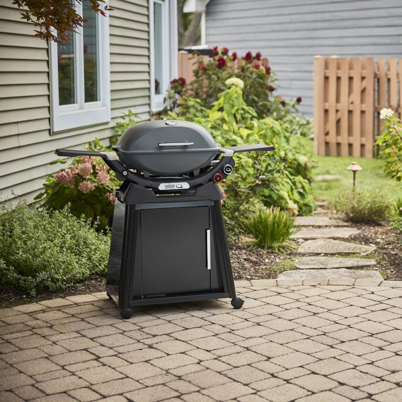 Q 2800N+ Gas Grill with Stand (Liquid Propane) |  Charcoal Grey