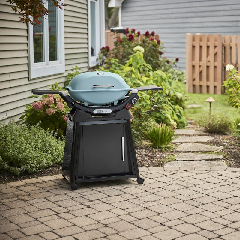 Q 2800N+ Gas Grill with Stand (Liquid Propane) | Sky Blue