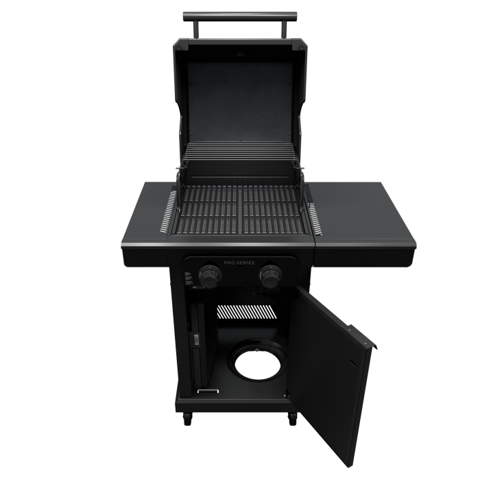 Pro Series 2-Burner Gas Grill