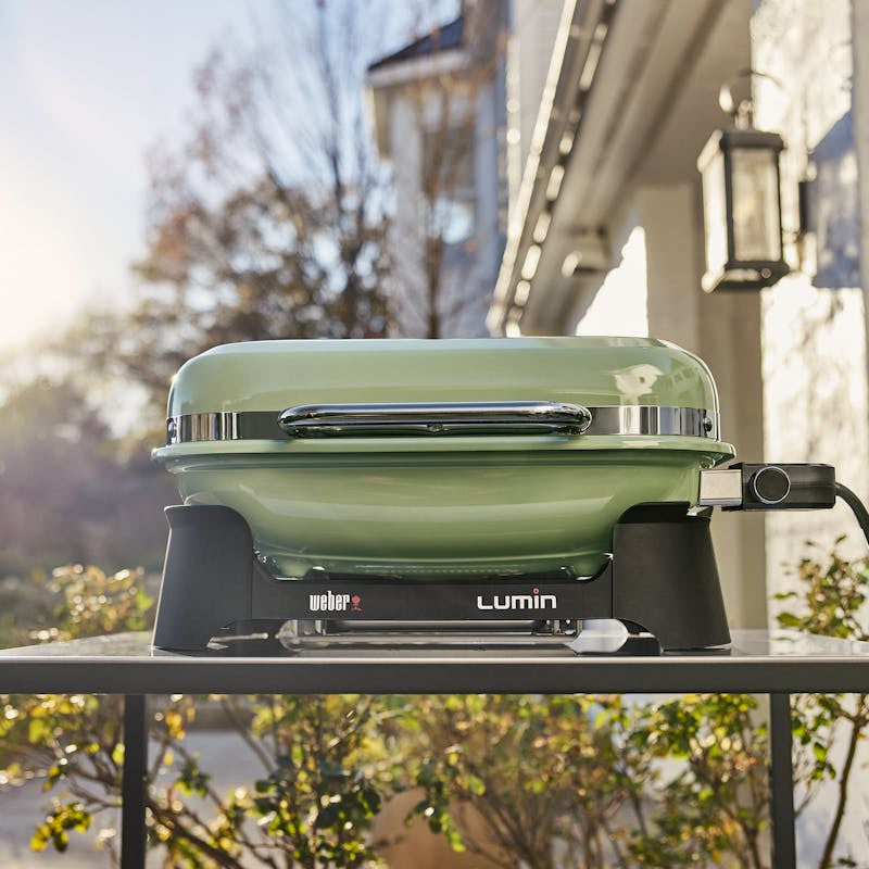 Green weber bbq best sale